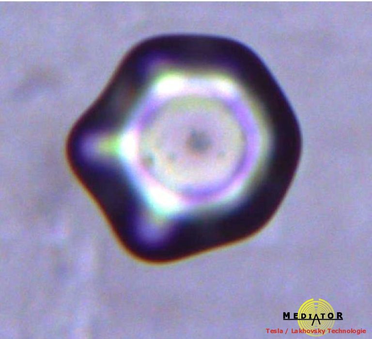 Bunter, symmetrische abschwächender Wasserkristall mit hexagonaler Struktur mit einem klaren, zentralen Punkt nach 135 Sekunden.