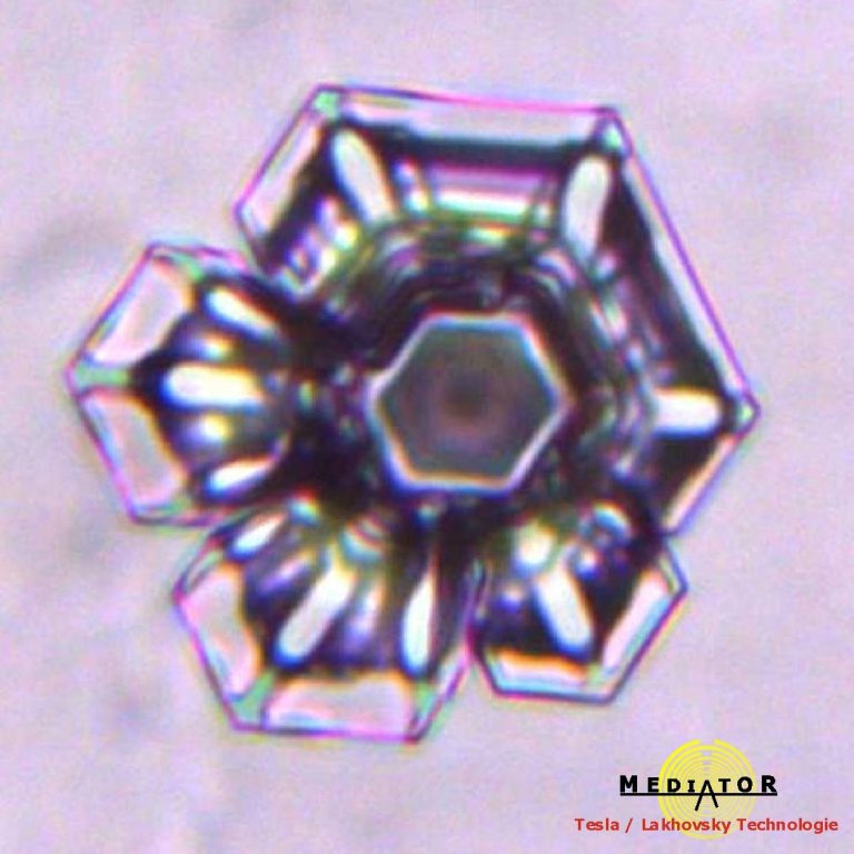 Nahaufnahme eines hexagonalen Kristalls mit reflektierenden Facetten nach 22 Sekunden Lebensdauer