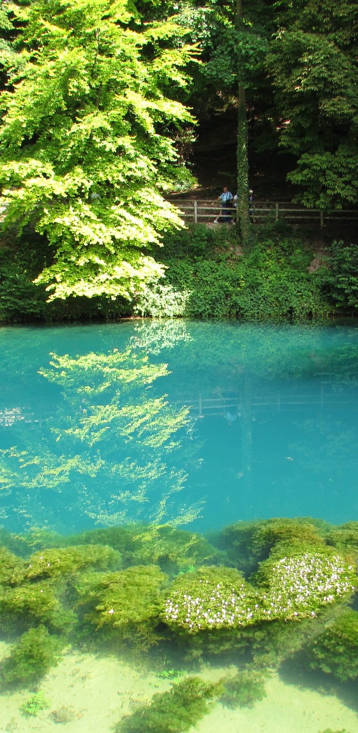 Kristallklares blaues Wasser mit reflektierenden Bäumen und grünem Ufer.